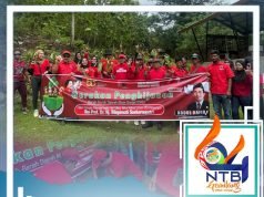 Rutin Setiap Tahun, PDIP Sumbawa Laksanakan Program Penghijauan