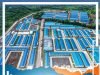 Lampaui Target Nasional, Smelter AMIN Penyumbang Investasi Terbesar NTB di 2022