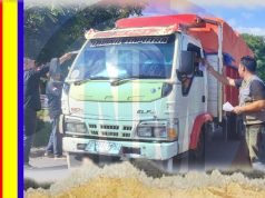 Panwascam Moyo Hulu Bagikan 1.500 Pamflet Informasi Data Pemilih Terdaftar