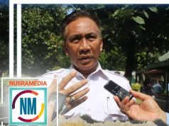 Kebutuhan Dalam Daerah Hanya 400 Ribu Ton, Jagung NTB Akan Dikirim ke Luar Daerah