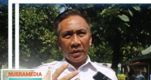 Kebutuhan Dalam Daerah Hanya 400 Ribu Ton, Jagung NTB Akan Dikirim ke Luar Daerah