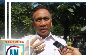 Kebutuhan Dalam Daerah Hanya 400 Ribu Ton, Jagung NTB Akan Dikirim ke Luar Daerah