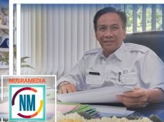 Distanbun Targetkan Produksi Jagung NTB Mencapai 2 Juta Ton