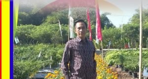 Distanbun NTB Ajak Masyarakat Manfaatkan Pekarangan Rumah