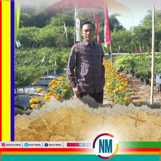 Distanbun NTB Ajak Masyarakat Manfaatkan Pekarangan Rumah