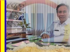 Distanbun NTB Bakal Manfaatkan Lahan Tidur