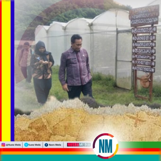 Kepala Distanbun NTB Kunjungi Lokasi Penanaman Melon Golden di Kebon Ayu