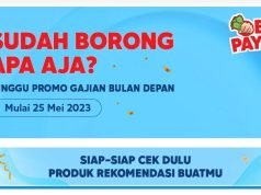 Hati-hati! Ini Tips Agar Tetap Hemat Saat Belanja Online