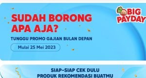 Hati-hati! Ini Tips Agar Tetap Hemat Saat Belanja Online