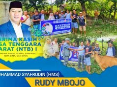 Kepedulian Nyata HMS Berikan Bantuan Sapi Untuk Kelompok Ternak di Sumbawa
