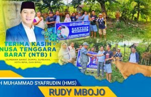 Kepedulian Nyata HMS Berikan Bantuan Sapi Untuk Kelompok Ternak di Sumbawa