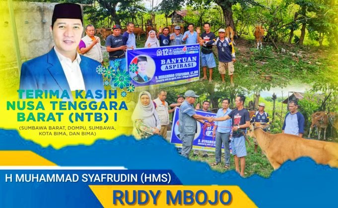 Kepedulian Nyata HMS Berikan Bantuan Sapi Untuk Kelompok Ternak di Sumbawa