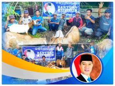 Dapat Bantuan 25 Ekor Kambing, Kelompok Ternak di Sumbawa : “Terimakasih Pak H Muhammad Syafrudin”