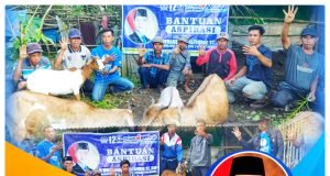 Dapat Bantuan 25 Ekor Kambing, Kelompok Ternak di Sumbawa : “Terimakasih Pak H Muhammad Syafrudin”