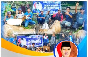 Dapat Bantuan 25 Ekor Kambing, Kelompok Ternak di Sumbawa : “Terimakasih Pak H Muhammad Syafrudin”