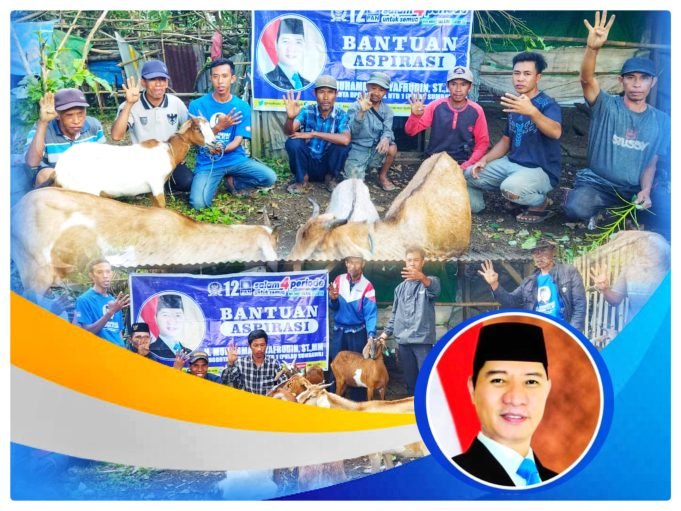 Dapat Bantuan 25 Ekor Kambing, Kelompok Ternak di Sumbawa : “Terimakasih Pak H Muhammad Syafrudin”