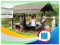 Gandeng Disperin NTB, Pulau Lombok Jadi Program Riset Joongla