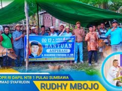 Salurkan Bantuan 20 Ekor Sapi Bagi Kelompok Ternak di Bima : Kami Akan Berjuang Untuk HMS!