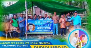 Salurkan Bantuan 20 Ekor Sapi Bagi Kelompok Ternak di Bima : Kami Akan Berjuang Untuk HMS!