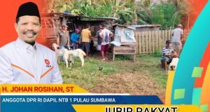 Komit Wujudkan Peternak Berdaya, Johan Rosihan Salurkan Ratusan Kambing di Pulau Sumbawa