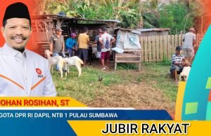 Komit Wujudkan Peternak Berdaya, Johan Rosihan Salurkan Ratusan Kambing di Pulau Sumbawa