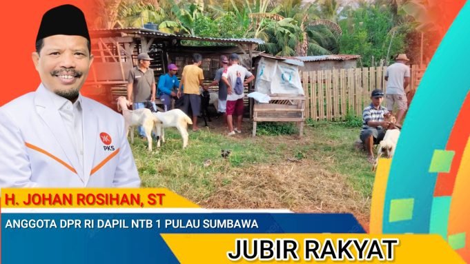 Komit Wujudkan Peternak Berdaya, Johan Rosihan Salurkan Ratusan Kambing di Pulau Sumbawa