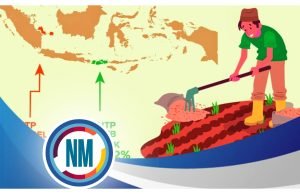 Nilai Tukar Petani Meningkat Nyaris Semua Subsektor