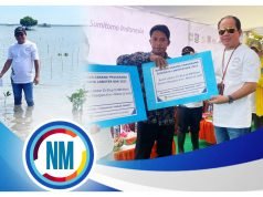 Abdul Rafiq Tanam Mangrove di Pulau Kaung