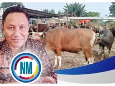 Disnakeswan Sumbawa Kerahkan 195 Petugas