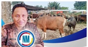 Disnakeswan Sumbawa Kerahkan 195 Petugas