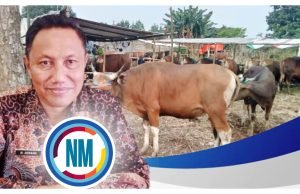 Disnakeswan Sumbawa Kerahkan 195 Petugas