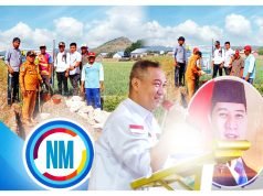 Setelah di KSB, Kini HMS Alokasikan P3-TGAI Untuk Petani di Bima