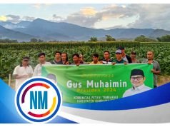 Petani Tembakau Sumbawa Deklarasi Dukung Cak Imin di Pilpres 2024