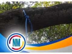 Seorang Perempuan Ditemukan Tewas Gantung Diri di Pohon Mete