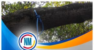 Seorang Perempuan Ditemukan Tewas Gantung Diri di Pohon Mete