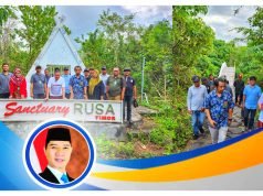 Kembangkan Sanctuary Rusa Timor, HMS Terus Support Taman Nasional Tambora