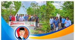 Kembangkan Sanctuary Rusa Timor, HMS Terus Support Taman Nasional Tambora