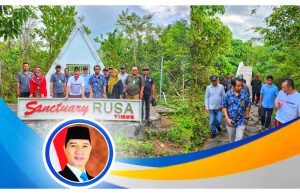 Kembangkan Sanctuary Rusa Timor, HMS Terus Support Taman Nasional Tambora