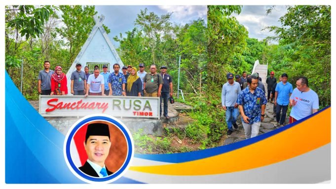 Kembangkan Sanctuary Rusa Timor, HMS Terus Support Taman Nasional Tambora