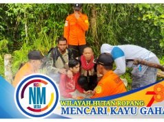 Warga Lombok Dilaporkan Hilang Saat Mencari Kayu di Hutan Sumbawa