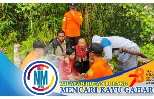 Warga Lombok Dilaporkan Hilang Saat Mencari Kayu di Hutan Sumbawa