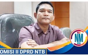 Pemda Diminta Maksimalkan Upaya Atasi Ancaman El Nino di NTB