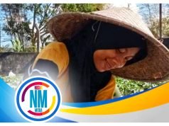 Distanbun NTB Lakukan Polinasi Tanaman Semangka