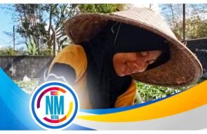 Distanbun NTB Lakukan Polinasi Tanaman Semangka