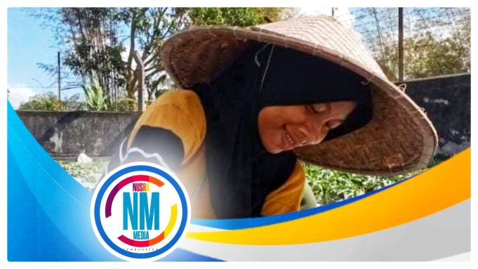 Distanbun NTB Lakukan Polinasi Tanaman Semangka