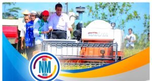 Panen Raya di Lombok Barat