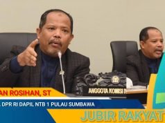 Johan Rosihan Tegur Pemerintah yang Terus Melanjutkan Program Food Estate