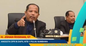 Johan Rosihan Tegur Pemerintah yang Terus Melanjutkan Program Food Estate