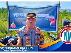 Humas Polda NTB Tanam Ribuan Mangrove di Pantai Cemara