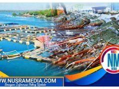 Telong Elong Produsen Lobster Dunia